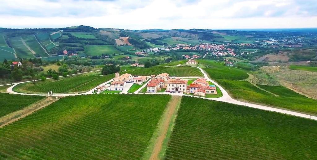 Borgo Conde Wine